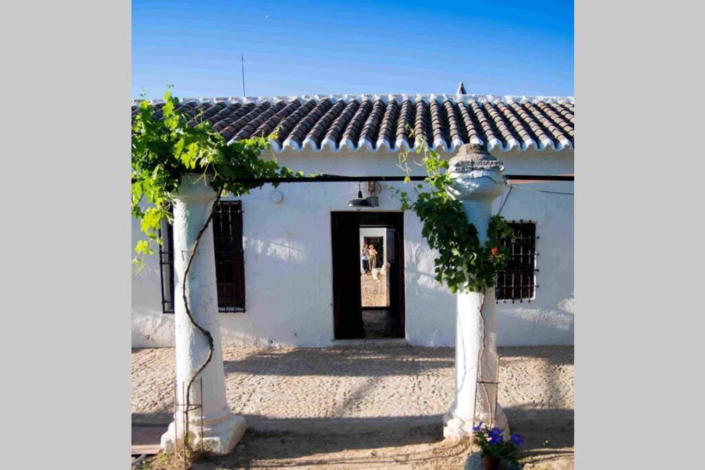 Вилла Casa El Carmen Сьюдад-Реаль Экстерьер фото